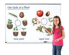 Load image into Gallery viewer, Learning Resources Giant Magnetic Plant Life Cycles