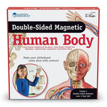 Load image into Gallery viewer, Learning Resources Double Sided Magnetic Human Body